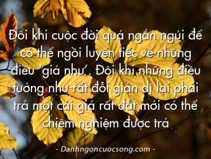 Đôi khi cuộc đời quá ngắn ngủi để có thể ngồi luyến tiếc về những điều ‘giá như’. Đôi khi những điều tưởng như rất đỗi giản dị lại phải trả một cái giá rất đắt mới có thể chiêm nghiệm được trả