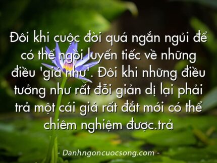 Đôi khi cuộc đời quá ngắn ngủi để có thể ngồi luyến tiếc về những điều 'giá như'. Đôi khi những điều tưởng như rất đỗi giản dị lại phải trả một cái giá rất đắt mới có thể chiêm nghiệm được.trả