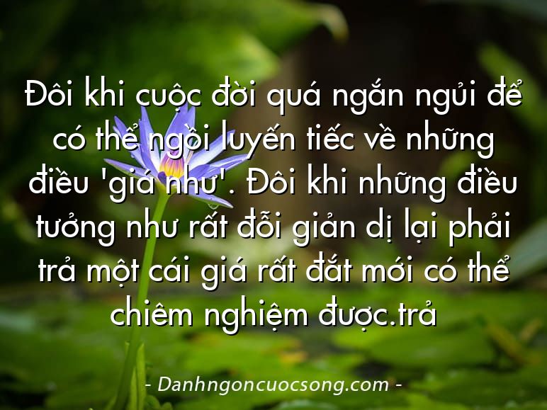 Đôi khi cuộc đời quá ngắn ngủi để có thể ngồi luyến tiếc về những điều 'giá như'. Đôi khi những điều tưởng như rất đỗi giản dị lại phải trả một cái giá rất đắt mới có thể chiêm nghiệm được.trả