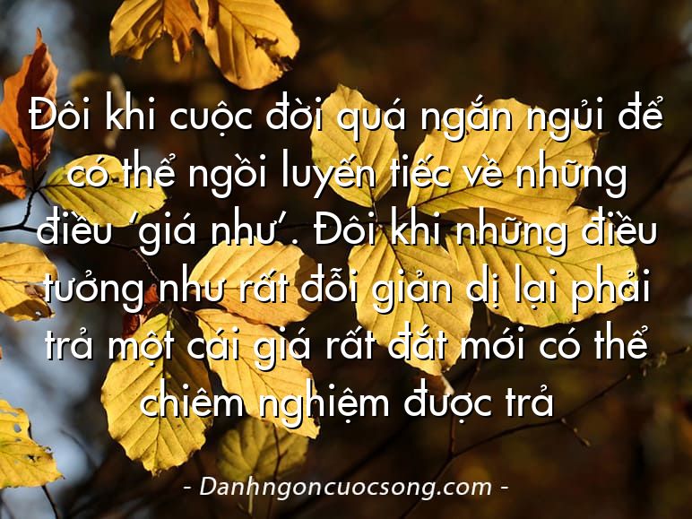 Đôi khi cuộc đời quá ngắn ngủi để có thể ngồi luyến tiếc về những điều ‘giá như’. Đôi khi những điều tưởng như rất đỗi giản dị lại phải trả một cái giá rất đắt mới có thể chiêm nghiệm được trả
