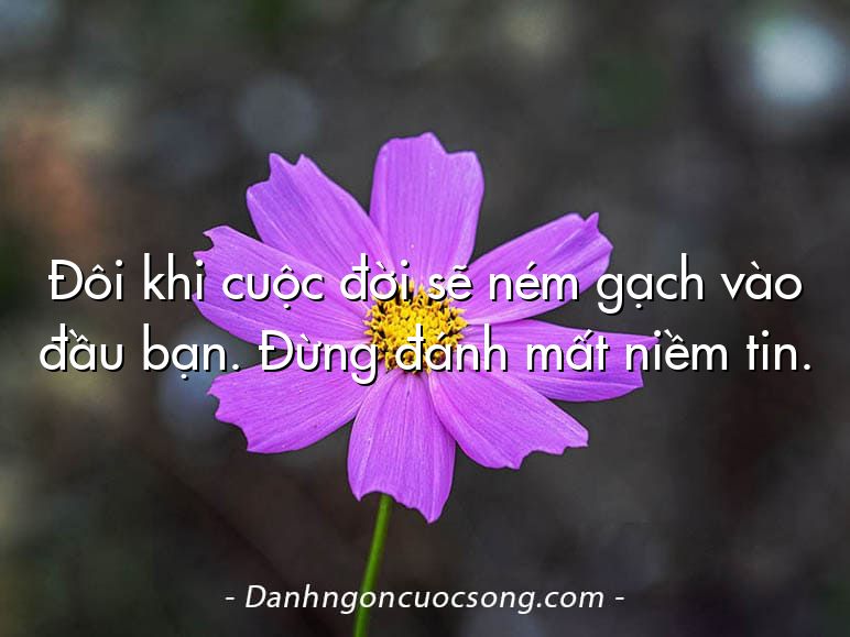 Đôi khi cuộc đời sẽ ném gạch vào đầu bạn. Đừng đánh mất niềm tin.