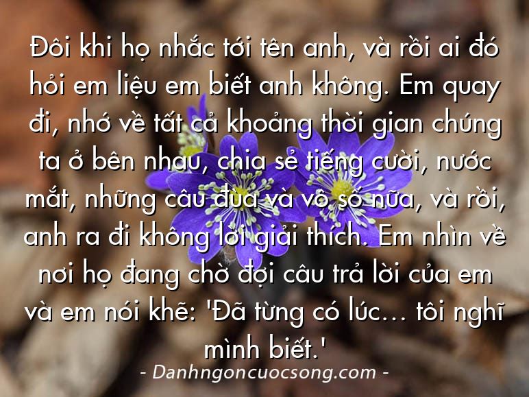 Đôi khi họ nhắc tới tên anh, và rồi ai đó hỏi em liệu em biết anh không. Em quay đi, nhớ về tất cả khoảng thời gian chúng ta ở bên nhau, chia sẻ tiếng cười, nước mắt, những câu đùa và vô số nữa, và rồi, anh ra đi không lời giải thích. Em nhìn về nơi họ đang chờ đợi câu trả lời của em và em nói khẽ: 'Đã từng có lúc… tôi nghĩ mình biết.'