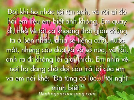 Đôi khi họ nhắc tới tên anh, và rồi ai đó hỏi em liệu em biết anh không. Em quay đi, nhớ về tất cả khoảng thời gian chúng ta ở bên nhau, chia sẻ tiếng cười, nước mắt, những câu đùa và vô số nữa, và rồi, anh ra đi không lời giải thích. Em nhìn về nơi họ đang chờ đợi câu trả lời của em và em nói khẽ: ‘Đã từng có lúc… tôi nghĩ mình biết.’