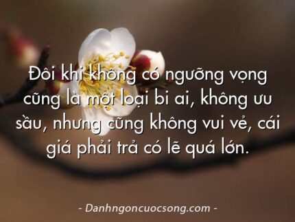 Đôi khi không có ngưỡng vọng cũng là một loại bi ai, không ưu sầu, nhưng cũng không vui vẻ, cái giá phải trả có lẽ quá lớn.
