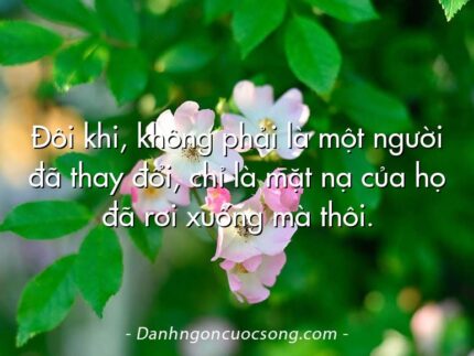 Đôi khi, không phải là một người đã thay đổi, chỉ là mặt nạ của họ đã rơi xuống mà thôi.