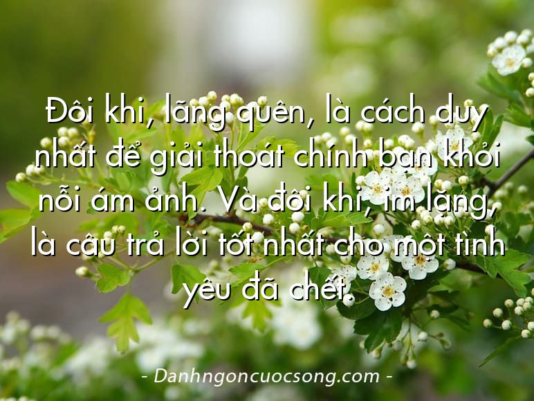 Đôi khi, lãng quên, là cách duy nhất để giải thoát chính bạn khỏi nỗi ám ảnh. Và đôi khi, im lặng, là câu trả lời tốt nhất cho một tình yêu đã chết.