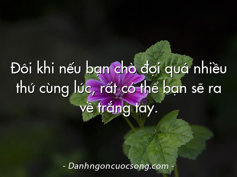 Đôi khi nếu bạn chờ đợi quá nhiều thứ cùng lúc, rất có thể bạn sẽ ra về trắng tay.