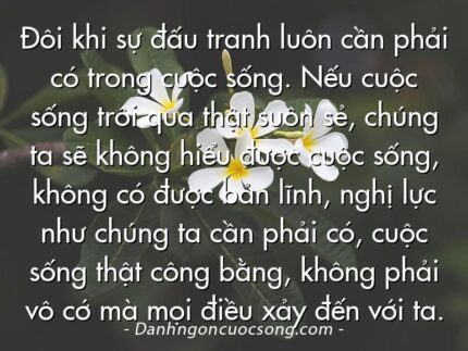 Đôi khi sự đấu tranh luôn cần phải có trong cuộc sống. Nếu cuộc sống trôi qua thật suôn sẻ, chúng ta sẽ không hiểu được cuộc sống, không có được bản lĩnh, nghị lực như chúng ta cần phải có, cuộc sống thật công bằng, không phải vô cớ mà mọi điều xảy đến với ta.