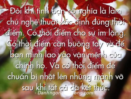 Đôi khi tình bạn có nghĩa là làm chủ nghệ thuật xác định đúng thời điểm. Có thời điểm cho sự im lặng. Có thời điểm cần buông tay và để bạn mình lao vào vận mệnh của chính họ. Và có thời điểm để chuẩn bị nhặt lên những mảnh vỡ sau khi tất cả đã kết thúc.