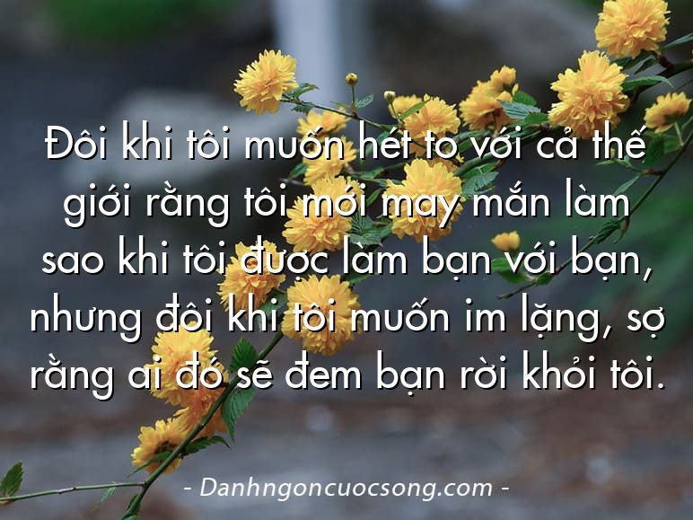 Đôi khi tôi muốn hét to với cả thế giới rằng tôi mới may mắn làm sao khi tôi được làm bạn với bạn, nhưng đôi khi tôi muốn im lặng, sợ rằng ai đó sẽ đem bạn rời khỏi tôi.