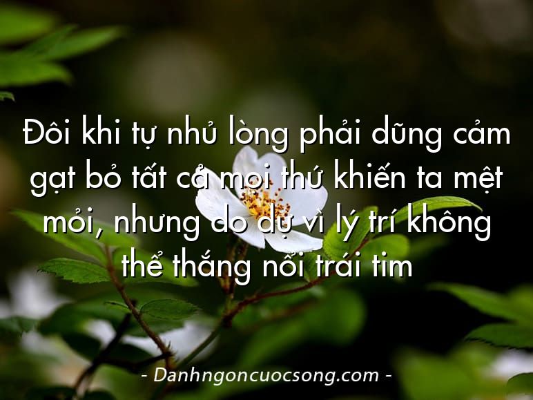 Đôi khi tự nhủ lòng phải dũng cảm gạt bỏ tất cả mọi thứ khiến ta mệt mỏi, nhưng do dự vì lý trí không thể thắng nổi trái tim