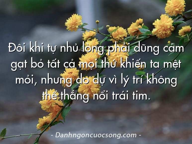 Đôi khi tự nhủ lòng phải dũng cảm gạt bỏ tất cả mọi thứ khiến ta mệt mỏi, nhưng do dự vì lý trí không thể thắng nổi trái tim.