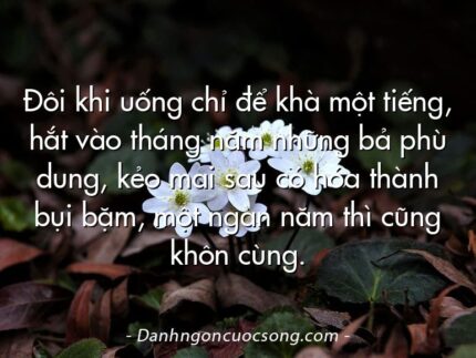 Đôi khi uống chỉ để khà một tiếng, hắt vào tháng năm những bả phù dung, kẻo mai sau có hóa thành bụi bặm, một ngàn năm thì cũng khôn cùng.