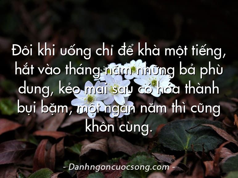 Đôi khi uống chỉ để khà một tiếng, hắt vào tháng năm những bả phù dung, kẻo mai sau có hóa thành bụi bặm, một ngàn năm thì cũng khôn cùng.