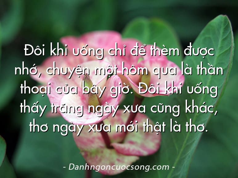 Đôi khi uống chỉ để thèm được nhớ, chuyện một hôm qua là thần thoại của bây giờ. Đôi khi uống thấy trăng ngày xưa cũng khác, thơ ngày xưa mới thật là thơ.