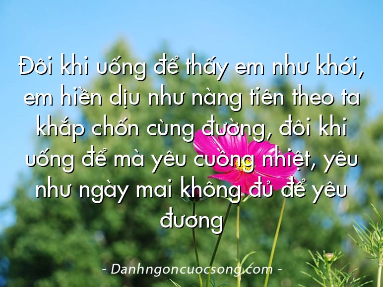 Đôi khi uống để thấy em như khói, em hiền dịu như nàng tiên theo ta khắp chốn cùng đường, đôi khi uống để mà yêu cuồng nhiệt, yêu như ngày mai không đủ để yêu đương