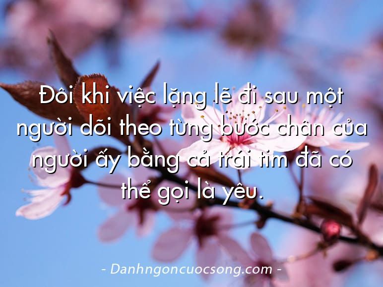 Đôi khi việc lặng lẽ đi sau một người dõi theo từng bước chân của người ấy bằng cả trái tim đã có thể gọi là yêu.