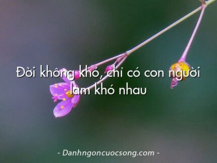 Đời không khó, chỉ có con người làm khó nhau