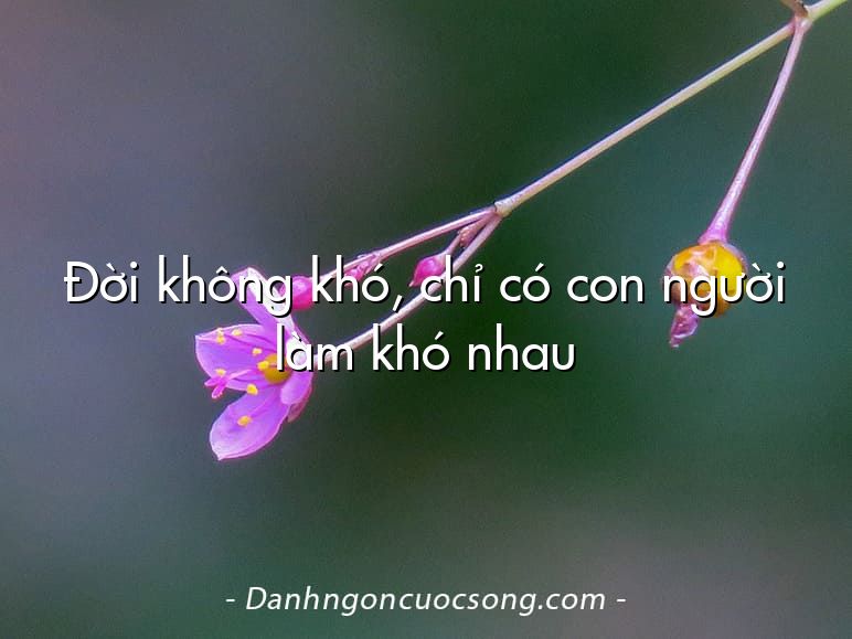 Đời không khó, chỉ có con người làm khó nhau
