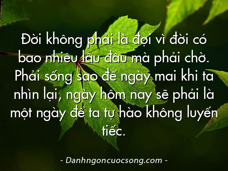 Đời không phải là đợi vì đời có bao nhiêu lâu đâu mà phải chờ. Phải sống sao để ngày mai khi ta nhìn lại, ngày hôm nay sẽ phải là một ngày để ta tự hào không luyến tiếc.