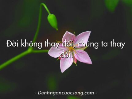 Đời không thay đổi, chúng ta thay đổi.