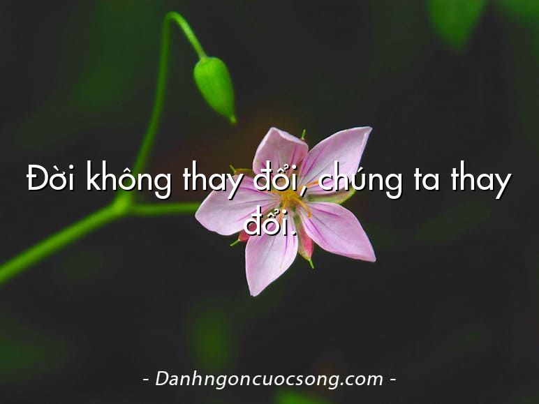 Đời không thay đổi, chúng ta thay đổi.