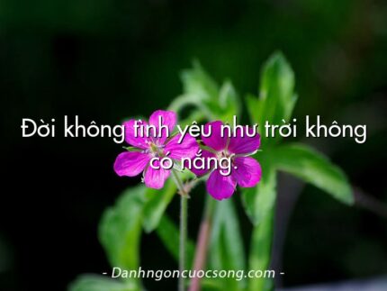 Đời không tình yêu như trời không có nắng.