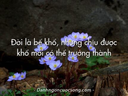 Đời là bể khổ, nhưng chịu được khổ mới có thể trưởng thành