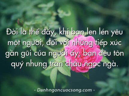 Đời là thế đấy, khi bạn len lén yêu một người, đối với những tiếp xúc gần gũi của người ấy, bạn đều tôn quý nhưng trân châu ngọc ngà.