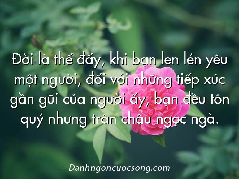 Đời là thế đấy, khi bạn len lén yêu một người, đối với những tiếp xúc gần gũi của người ấy, bạn đều tôn quý nhưng trân châu ngọc ngà.