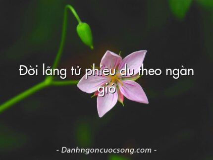 Đời lãng tử phiêu du theo ngàn gió