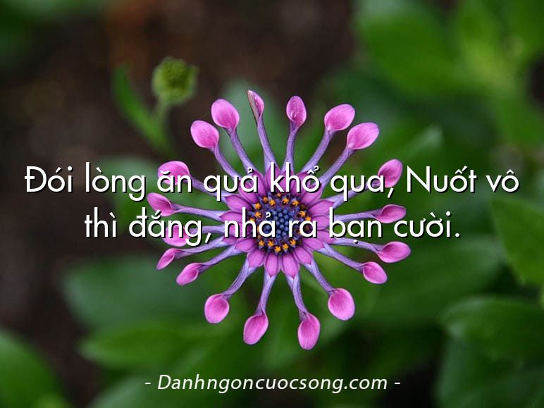 Đói lòng ăn quả khổ qua, Nuốt vô thì đắng, nhả ra bạn cười.