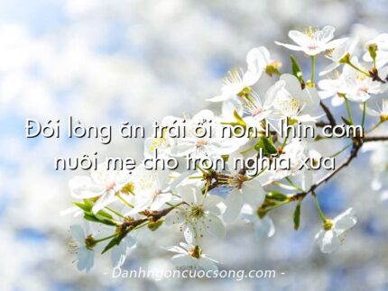 Đói lòng ăn trái ổi non Nhịn cơm nuôi mẹ cho tròn nghĩa xưa