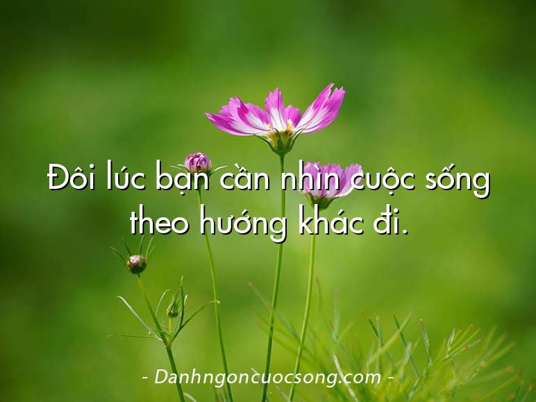 Đôi lúc bạn cần nhìn cuộc sống theo hướng khác đi.