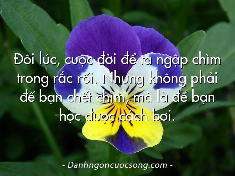 Đôi lúc, cuộc đời để ta ngập chìm trong rắc rối. Nhưng không phải để bạn chết chìm, mà là để bạn học được cách bơi.