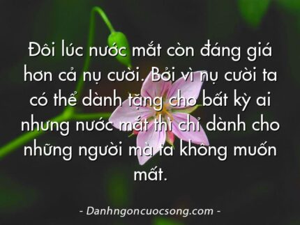 Đôi lúc nước mắt còn đáng giá hơn cả nụ cười. Bởi vì nụ cười ta có thể dành tặng cho bất kỳ ai nhưng nước mắt thì chỉ dành cho những người mà ta không muốn mất.