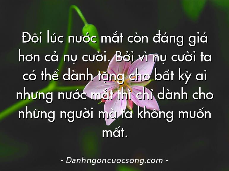 Đôi lúc nước mắt còn đáng giá hơn cả nụ cười. Bởi vì nụ cười ta có thể dành tặng cho bất kỳ ai nhưng nước mắt thì chỉ dành cho những người mà ta không muốn mất.