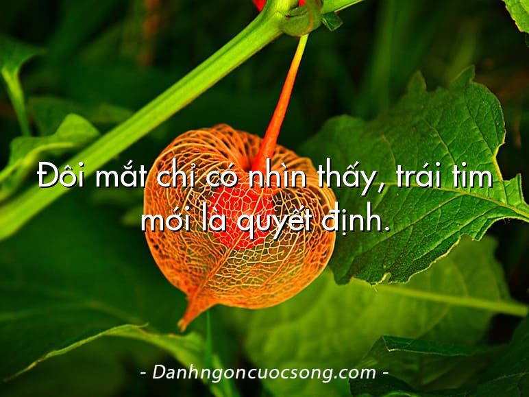 Đôi mắt chỉ có nhìn thấy, trái tim mới là quyết định.