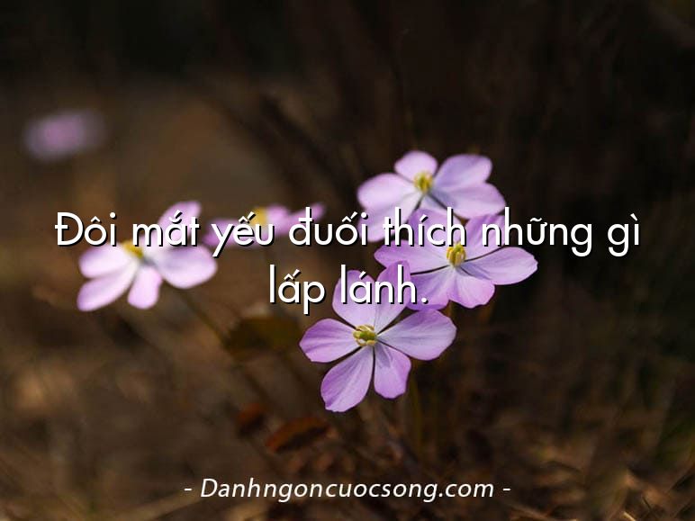 Đôi mắt yếu đuối thích những gì lấp lánh.