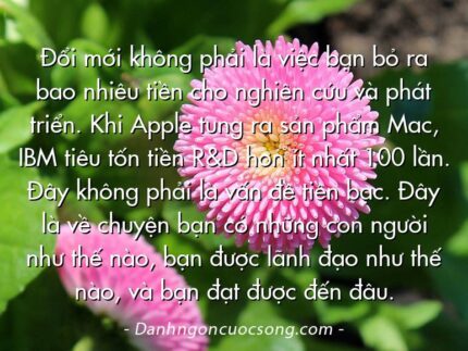 Đổi mới không phải là việc bạn bỏ ra bao nhiêu tiền cho nghiên cứu và phát triển. Khi Apple tung ra sản phẩm Mac, IBM tiêu tốn tiền R&D hơn ít nhất 100 lần. Đây không phải là vấn đề tiền bạc. Đây là về chuyện bạn có những con người như thế nào, bạn được lãnh đạo như thế nào, và bạn đạt được đến đâu.