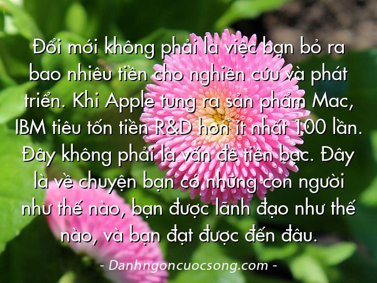 Đổi mới không phải là việc bạn bỏ ra bao nhiêu tiền cho nghiên cứu và phát triển. Khi Apple tung ra sản phẩm Mac, IBM tiêu tốn tiền R&D hơn ít nhất 100 lần. Đây không phải là vấn đề tiền bạc. Đây là về chuyện bạn có những con người như thế nào, bạn được lãnh đạo như thế nào, và bạn đạt được đến đâu.