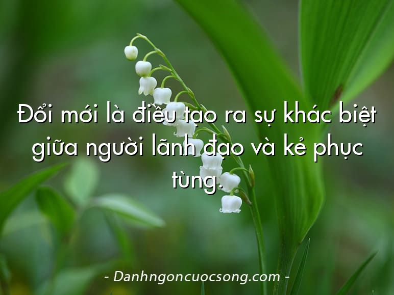 Đổi mới là điều tạo ra sự khác biệt giữa người lãnh đạo và kẻ phục tùng.