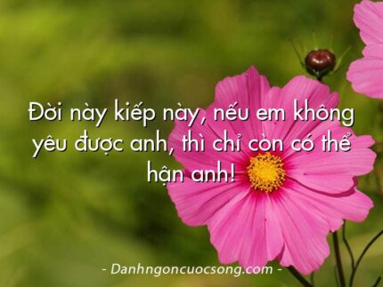 Đời này kiếp này, nếu em không yêu được anh, thì chỉ còn có thể hận anh!
