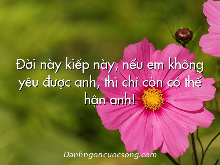 Đời này kiếp này, nếu em không yêu được anh, thì chỉ còn có thể hận anh!