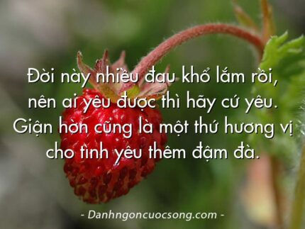 Đời này nhiều đau khổ lắm rồi, nên ai yêu được thì hãy cứ yêu. Giận hờn cũng là một thứ hương vị cho tình yêu thêm đậm đà.