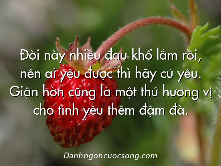 Đời này nhiều đau khổ lắm rồi, nên ai yêu được thì hãy cứ yêu. Giận hờn cũng là một thứ hương vị cho tình yêu thêm đậm đà.