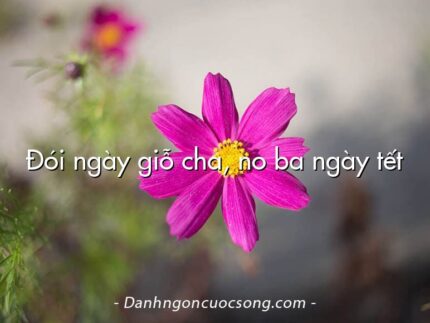 Đói ngày giỗ cha, no ba ngày tết