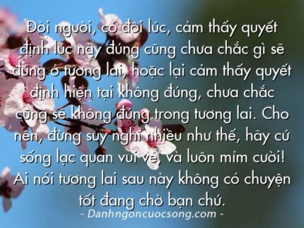 Đời người, có đôi lúc, cảm thấy quyết định lúc này đúng cũng chưa chắc gì sẽ đúng ở tương lai, hoặc lại cảm thấy quyết định hiện tại không đúng, chưa chắc cũng sẽ không đúng trong tương lai. Cho nên, đừng suy nghĩ nhiều như thế, hãy cứ sống lạc quan vui vẻ, và luôn mỉm cười! Ai nói tương lai sau này không có chuyện tốt đang chờ bạn chứ.