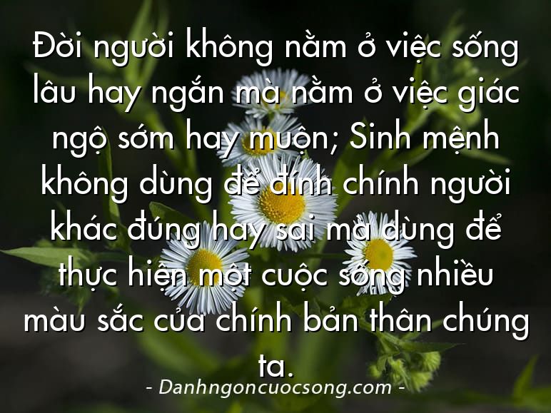 Đời người không nằm ở việc sống lâu hay ngắn mà nằm ở việc giác ngộ sớm hay muộn; Sinh mệnh không dùng để đính chính người khác đúng hay sai mà dùng để thực hiện một cuộc sống nhiều màu sắc của chính bản thân chúng ta.