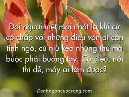 Đời người mệt mỏi nhất là khi cứ cố chấp với những điều vốn dĩ cần tỉnh ngộ, cứ níu kéo những thứ mà buộc phải buông tay. Có điều, nói thì dễ, mấy ai làm được?